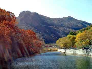 芥酸酰胺，济源seo快速排名软件